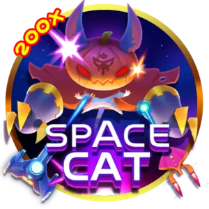 Wide Variety of Offers