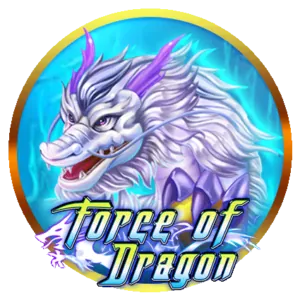 Fair & Transparent Terms